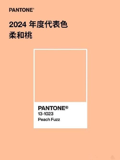 2024年室内装饰新风尚：威泽装饰亿博电竞官网 亿博电竞 APP探索色彩的温柔边界(图1)